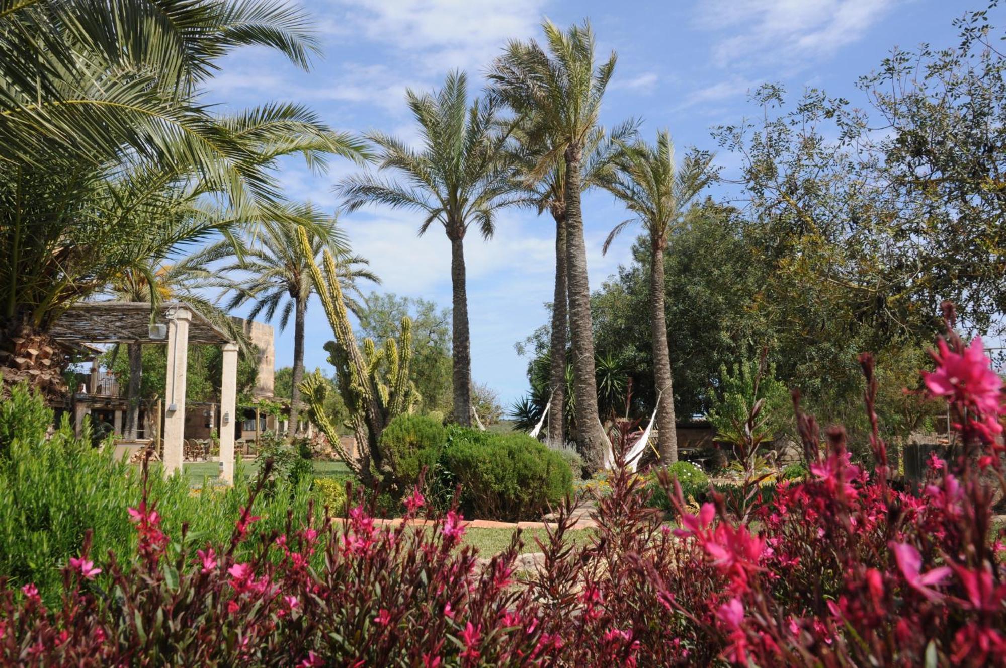 Agroturismo Finca Sant Blai Campos  Exterior foto